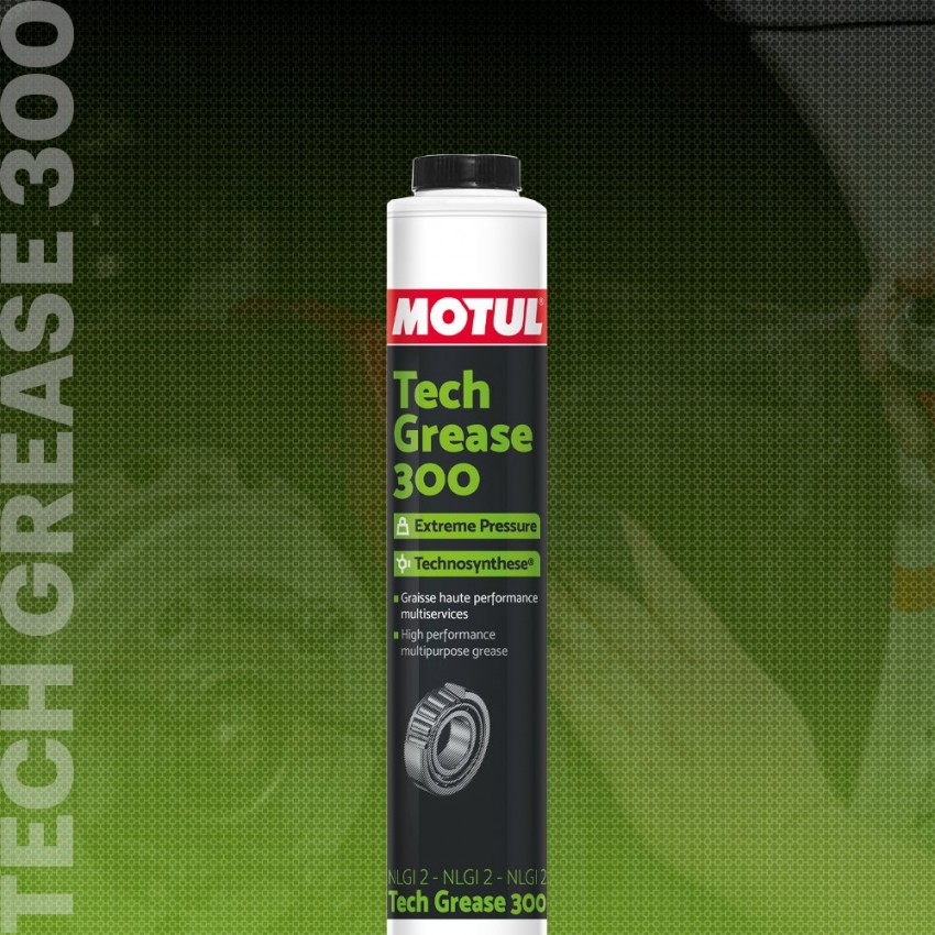 Універсальне мастило для багі MOTUL TECH GREASE 300 400 гр